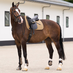Sela HV Polo Essential Dressage Palha Castanho