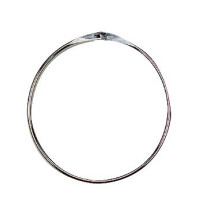 Anel de apresentação