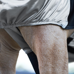 Camisa Anti-Eczema Imperial Riding Prata Camisa Anti-Eczema Imperial Riding Prata