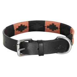 Coleira para cão HV Polo Chaya