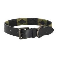 Coleira para cão HV Polo Chaya Verdura Verde Coleira para cão HV Polo Chaya Verdura Verde