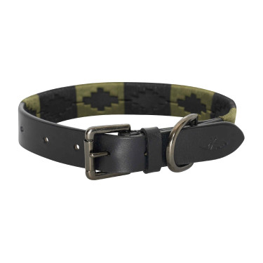 Coleira para cão HV Polo Chaya Verdura Verde Coleira para cão HV Polo Chaya Verdura Verde