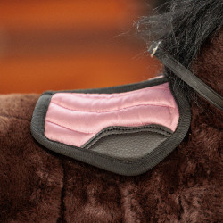 Brinquedos conjunto de equitação Imperial Riding Pequeno Bailarina Violeta Brinquedos conjunto de equitação Imperial Riding Pequeno Bailarina Violeta