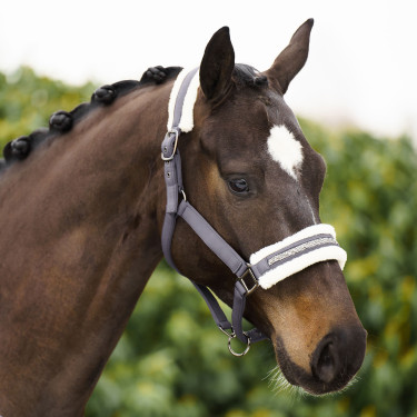 Caveção Imperial Riding Jewel Tornado Bege