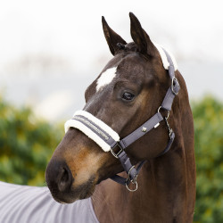 Caveção Imperial Riding Jewel Tornado Bege