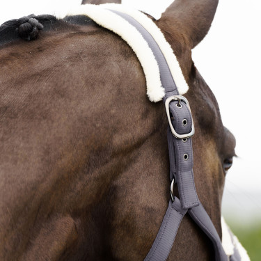 Caveção Imperial Riding Jewel Tornado Bege