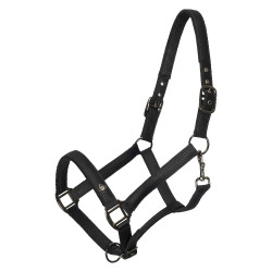 Caveção Imperial Riding Rebel