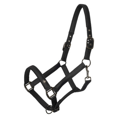 Caveção Imperial Riding Rebel