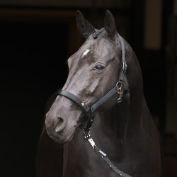 Caveção Imperial Riding Rebel Preto Caveção Imperial Riding Rebel Preto