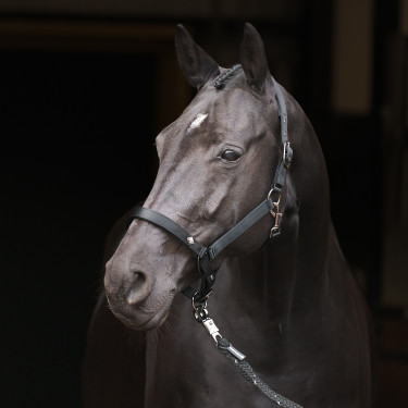 Caveção Imperial Riding Rebel Preto Caveção Imperial Riding Rebel Preto