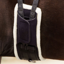 Cinta de adestramento Imperial Riding Comfort Preto
