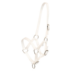 Cabresto para potro HV Polo Nena