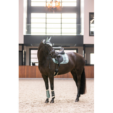 Gamaschen Lovely Imperial Riding Verde sálvia