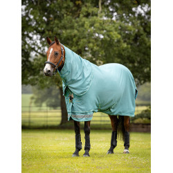 Capa de exterior LeMieux Arika Ripstop 50 g Lagoa Azul