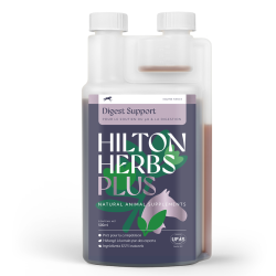 Digest support Plus Compétition Hilton Herbs Digest support Plus Compétition Hilton Herbs