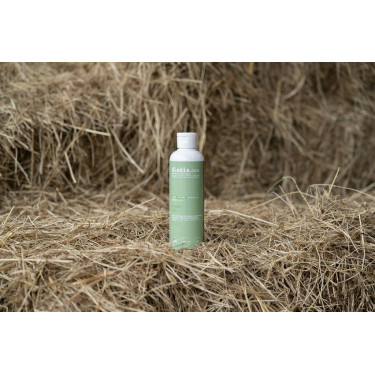 Óleo de massagem Alodis Care Óleo Fresh Óleo de massagem Alodis Care Óleo Fresh
