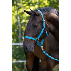 Caveção Hippo Covalliero Azul