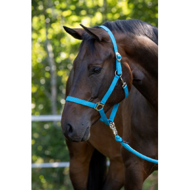 Caveção Hippo Covalliero Azul