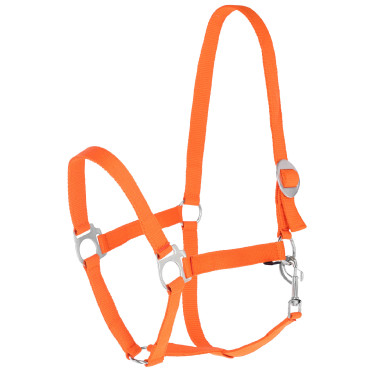 Caveção Hippo Covalliero Laranja