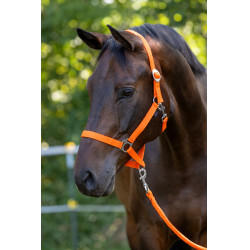 Caveção Hippo Covalliero Laranja