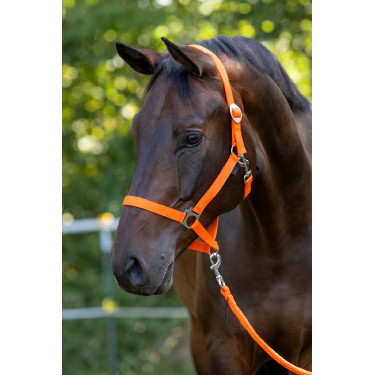 Caveção Hippo Covalliero Laranja