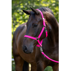 Caveção Hippo Covalliero Rosa