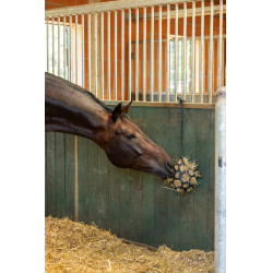 Bola de feno Flex Kerbl Preto