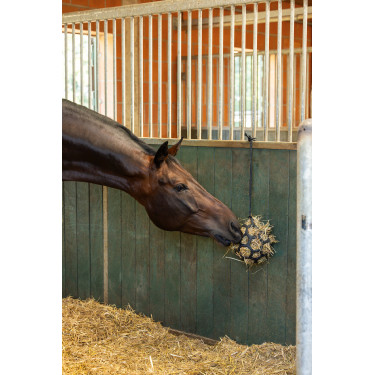 Bola de feno Flex Kerbl Preto