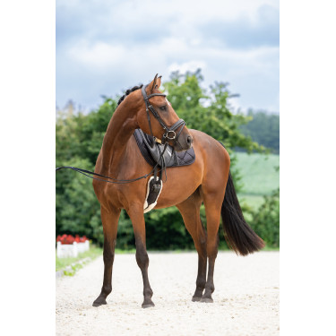 Bridão sueco Covalliero Preto