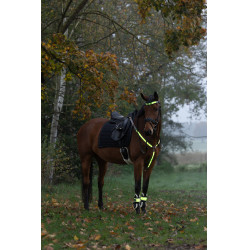 Peitoral com LED Covalliero Amarelo