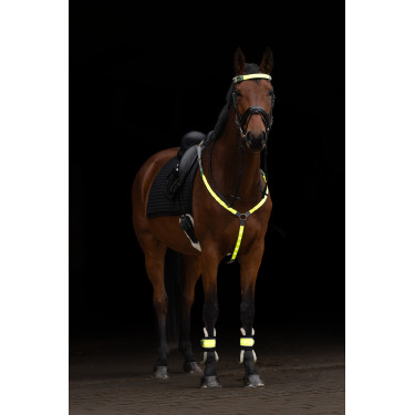 Peitoral com LED Covalliero Amarelo