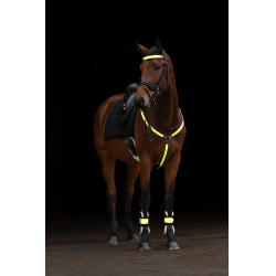 Peitoral com LED Covalliero Amarelo