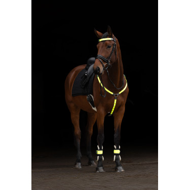 Peitoral com LED Covalliero Amarelo