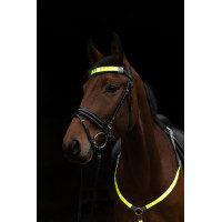 Frontal de LED Covalliero Amarelo Frontal de LED Covalliero Amarelo