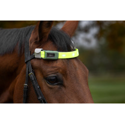 Frontal de LED Covalliero Amarelo Frontal de LED Covalliero Amarelo