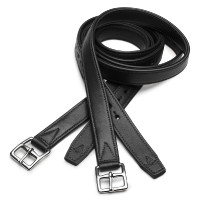 Etrivières Arena Castanho