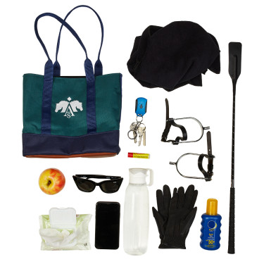 Mini tote bag Arena Verde Mini tote bag Arena Verde
