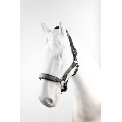 Cabresto de couro B Vertigo Lennox