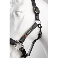 Cabresto de couro B Vertigo Lennox Quimera Cinzento