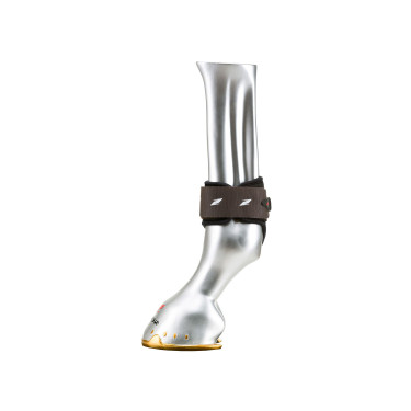 Protetor de boleto Zandona Pro junior Air Castanho