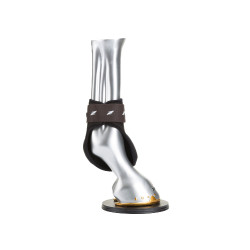 Protetor de boleto EP Zandona Carbon Air para cavalos jovens Castanho