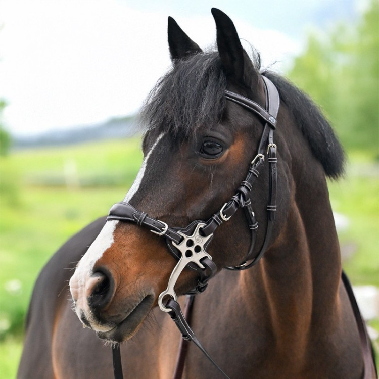 Bridão Hackamore Jump'In One Premium