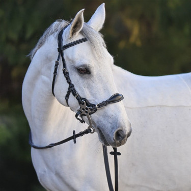 Bridão Hackamore Jump'In One Premium Bridão Hackamore Jump'In One Premium