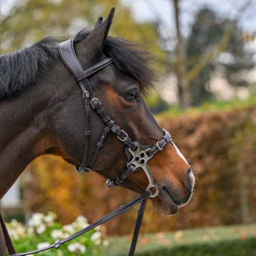 Bridão Hackamore Jump'In One Premium Bridão Hackamore Jump'In One Premium