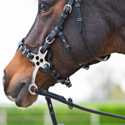 Bridão Hackamore Jump'In One Premium Havana Castanho Bridão Hackamore Jump'In One Premium Havana Castanho