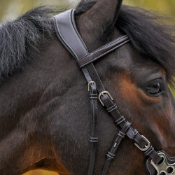 Bridão Hackamore Jump'In One Premium Havana Castanho Bridão Hackamore Jump'In One Premium Havana Castanho