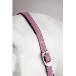 Cabresto e guia Horze Graffiti Pônei Begônia rosa