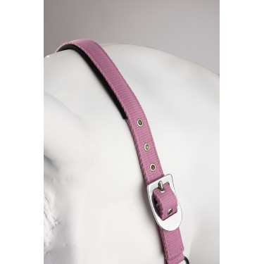 Cabresto e guia Horze Graffiti Pônei Begônia rosa