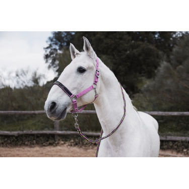 Cabresto e guia Horze Graffiti Pônei Begônia rosa