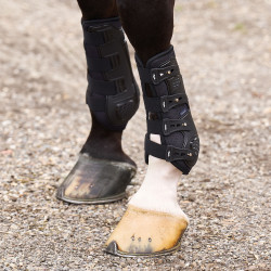 Guétras de dressage HV Polo Pro Movement Preto